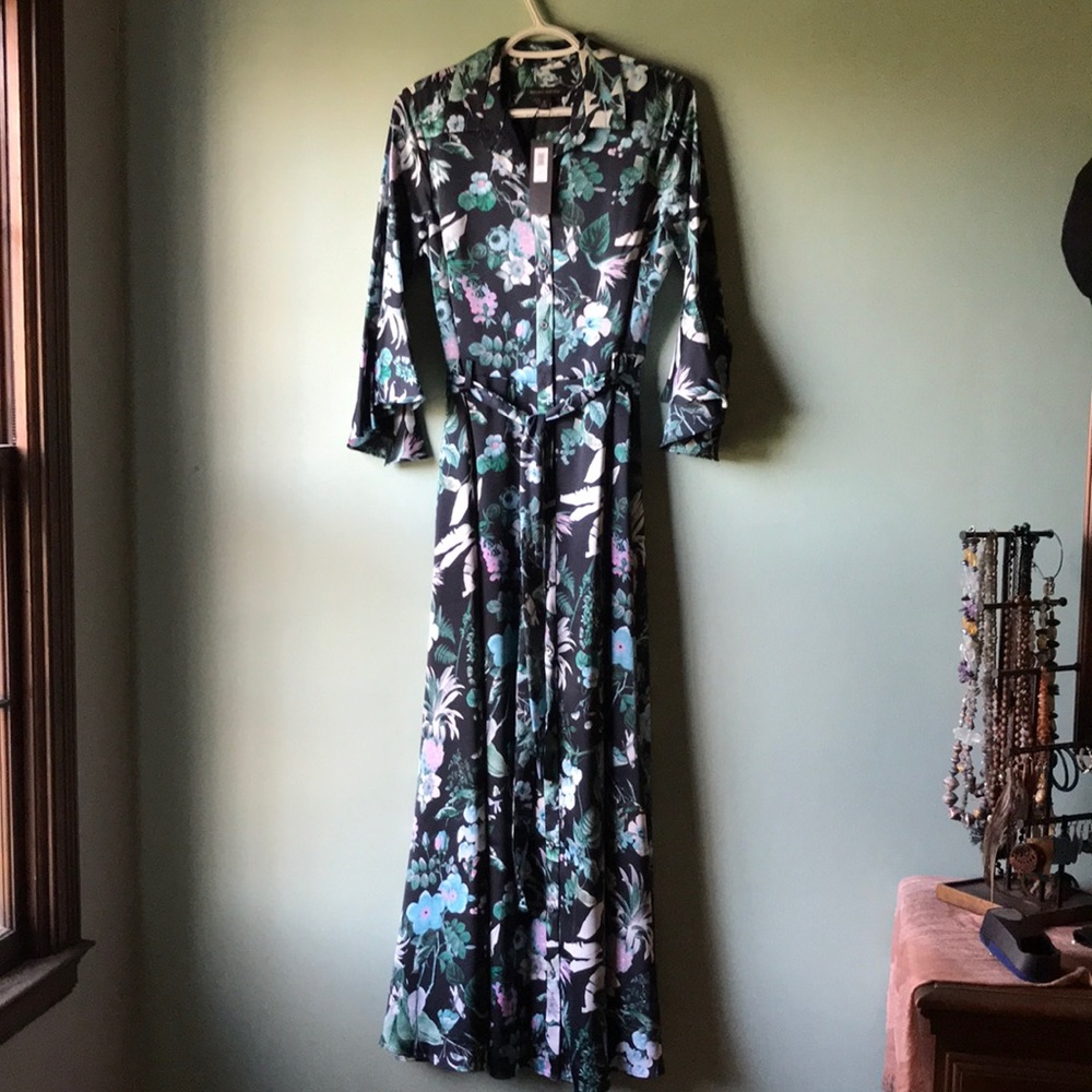 Beautiful Banana Republic Maxi Dress